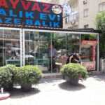 Veziroğlu Cam Balkon